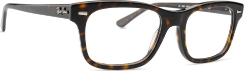 Ray-Ban Burbank 0RX5383 2012