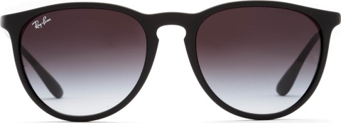 Ray-Ban Erika RB4171 622/8G 54