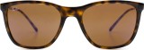 Ray-Ban RB4344 710/33 56 12528